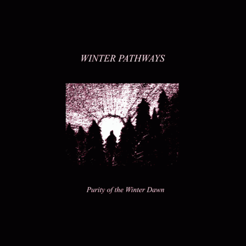 Winter Pathways : Purity of the Winter Dawn